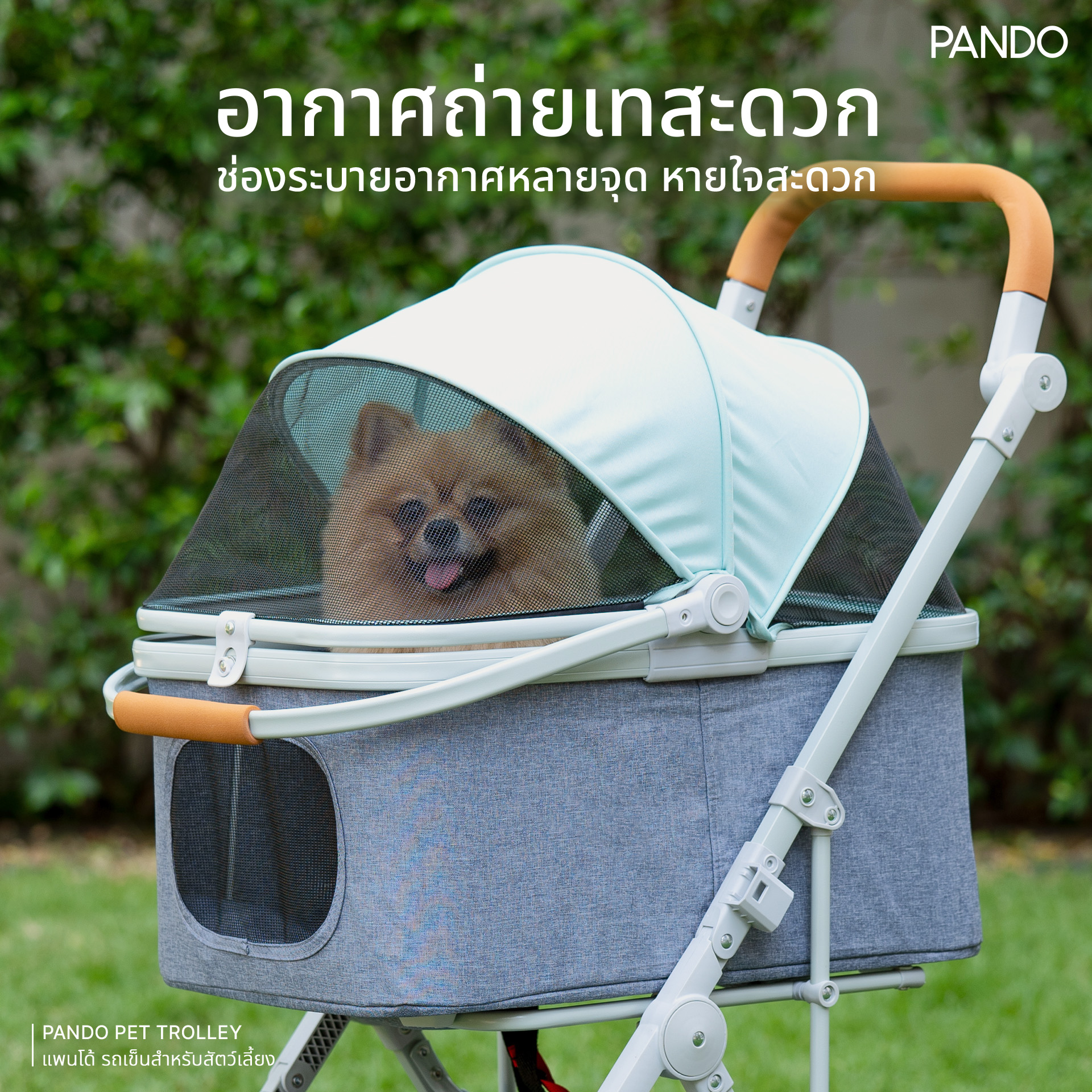 แพนโด้ รถเข็นสำหรับสัตว์เลี้ยง สีเขียว 1